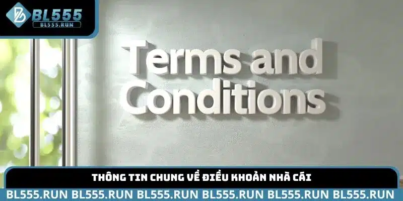 Thông tin chung về điều khoản nhà cái