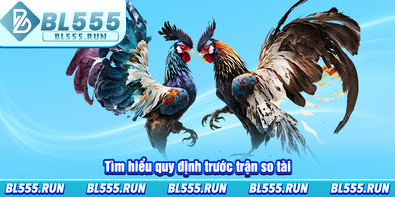 Tìm hiểu quy định trước trận so tài